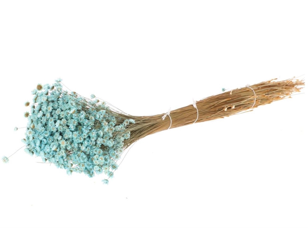 Glixia Seca Azul Claro 80g