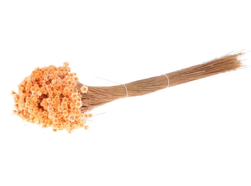 Glixia Seca Salmon 80g