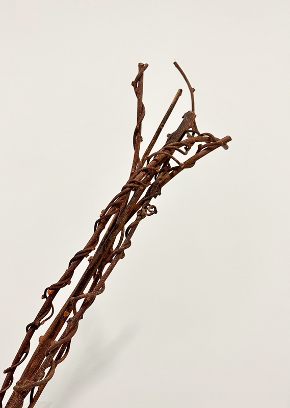 Ramaje Kiwi Natural 60cm (5 Tallos)