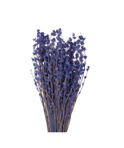 Lavanda Preservada 50cm 125g