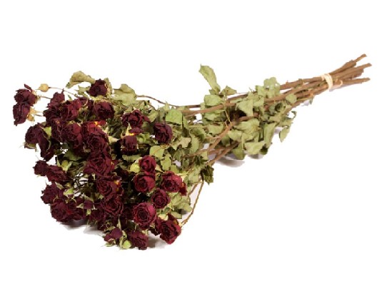 Rosa Ramificada Seca Roja 65cm 100g