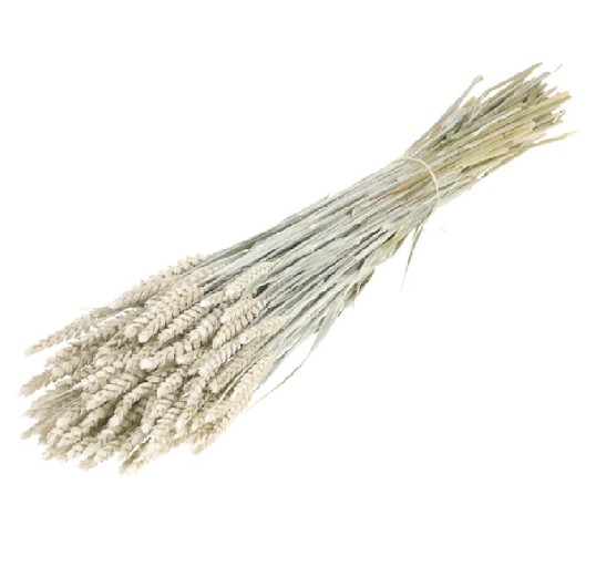 Trigo Seco Blanco 60cm 250g