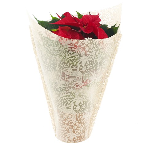 Funda For X-Mas 43.5x40x15cm (x50uds)