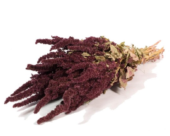 Amaranthus Seco Natural Rojo 50cm 120g