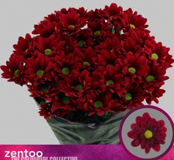 Margarita Hol. Mexicano 95gr Rj.