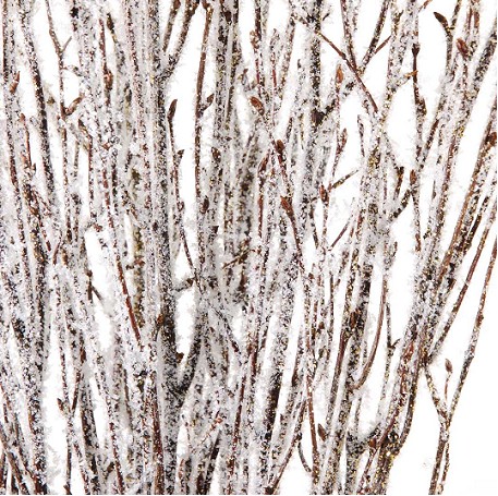 Birch Natural con Nieve 60cm (x10 Tallos)
