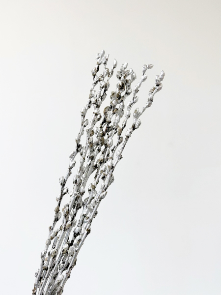 Salix Snow Flake Pintado Plata 60cm x10 "Avellana"