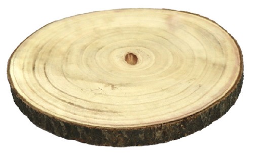 Taja Madera 34.5cm