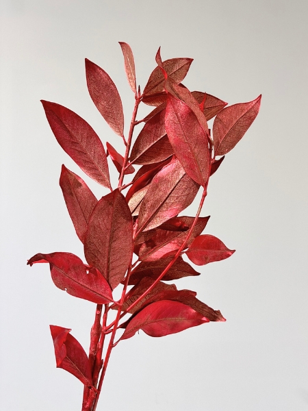 Hoja Magnolio Pintado Rojo Metal 70cm 200gr