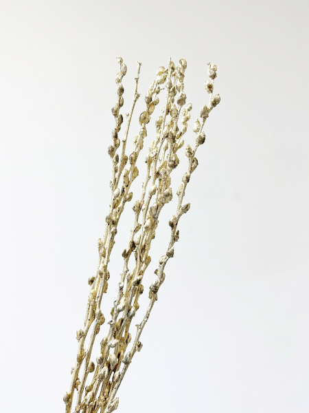 Salix Snow Flake Pintado Oro 70cm x10 "Paquete"