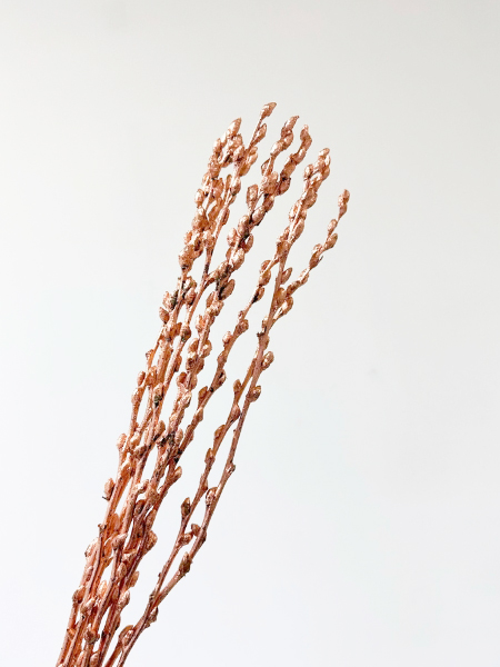 Salix Snow Flake Pintado Cobre 70cm x10 "Paquete"