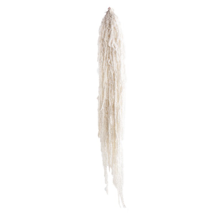 Amaranthus Preservado Blanco 40-70cm 150g