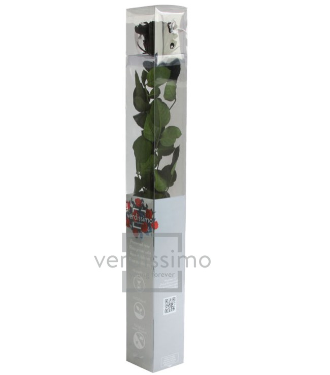 Rosa Preservada Verdissimo Negra 4x27.5Hcm