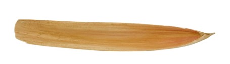Base Leaf 13x70x6Hcm
