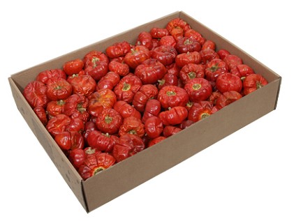Calabaza Entera Seca 1kg