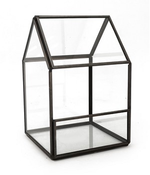 Terrario Land 10x10x15Hcm