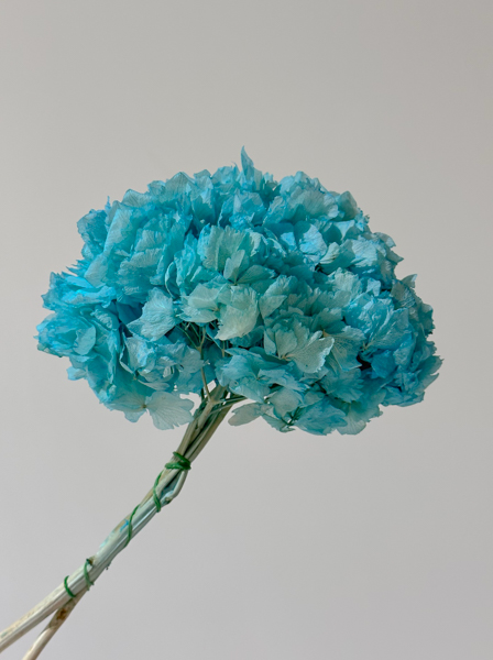 Hortensia Preservada Azul Claro 20x30Hcm