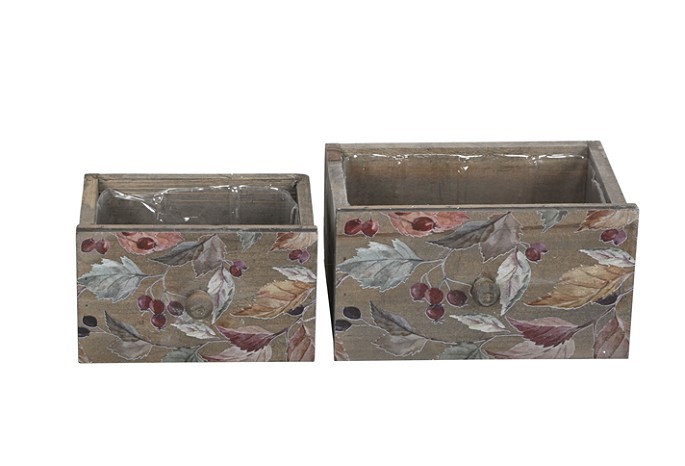 Cajon Berry Natural (Set 2uds)