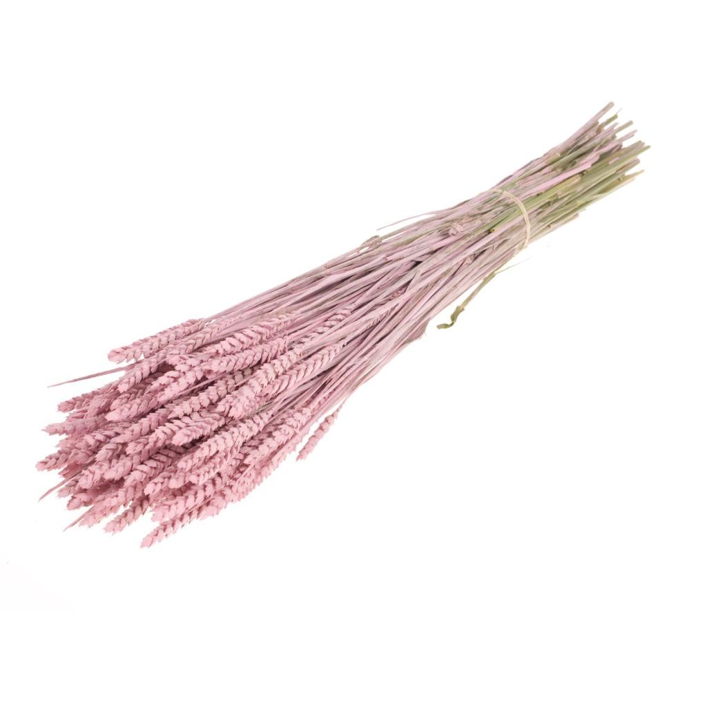 Trigo Seco Rosa Claro 65cm 300g