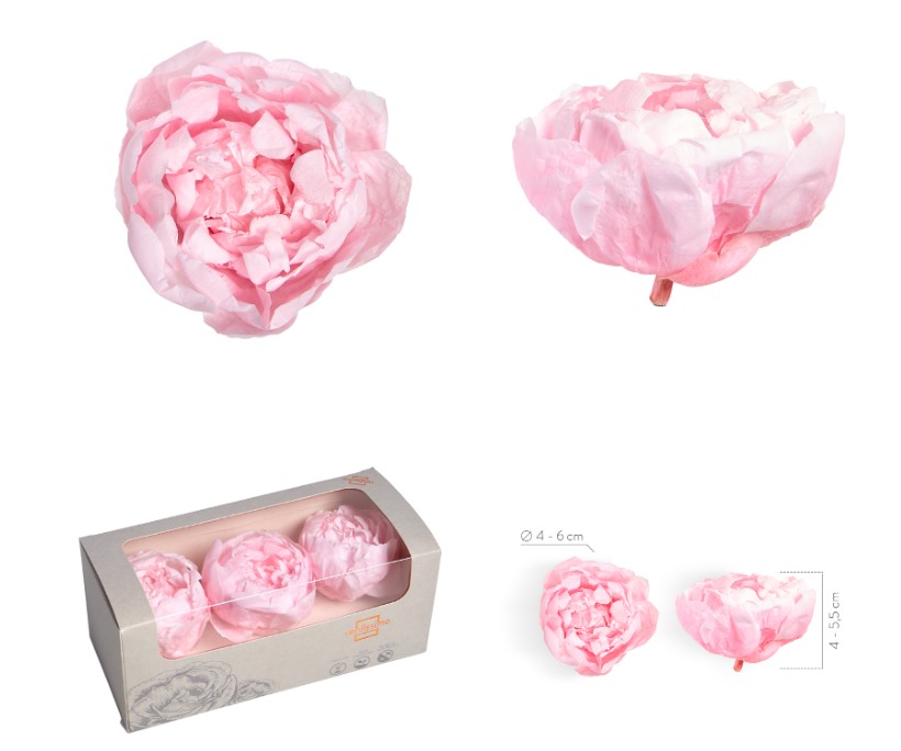 Peonia Preservada Rosa 4-6cm (x3uds)