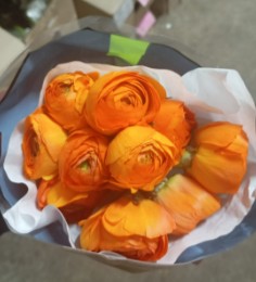Ranunculos Ecu. Naranja 30cm