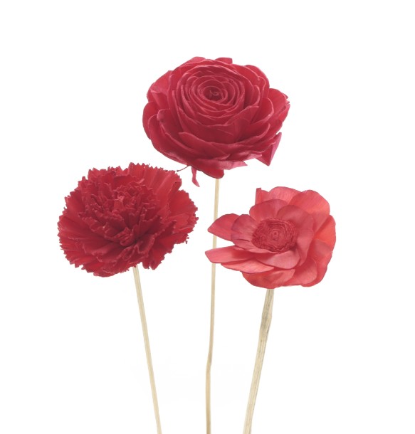 Pick Flor Sloa Roja 8x50Hcm "T10"