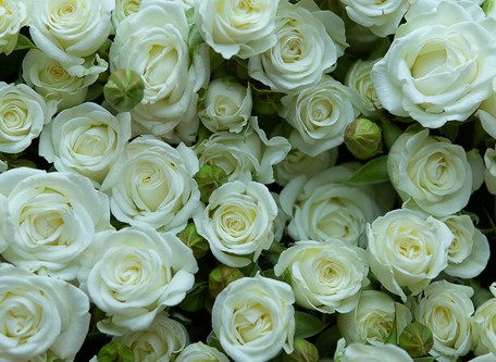 Ramificada Wedding Party 60cm
