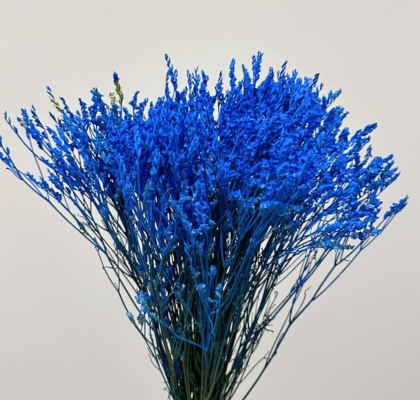 Limonium Col. Pintado Sky Blue 70cm