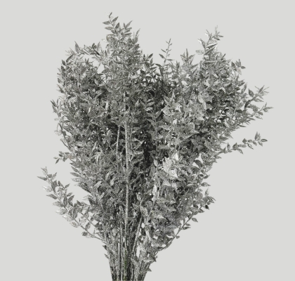 Ruscus Wild Brillantina Silver 70cm "T25"