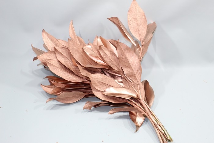 Hoja Magnolio Pintado Cobre 70cm 200gr