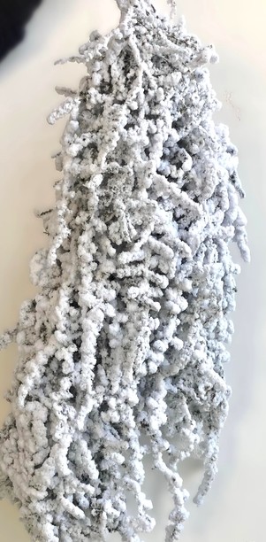 Esparraguera Silvestre Nieve 120cm "T5"