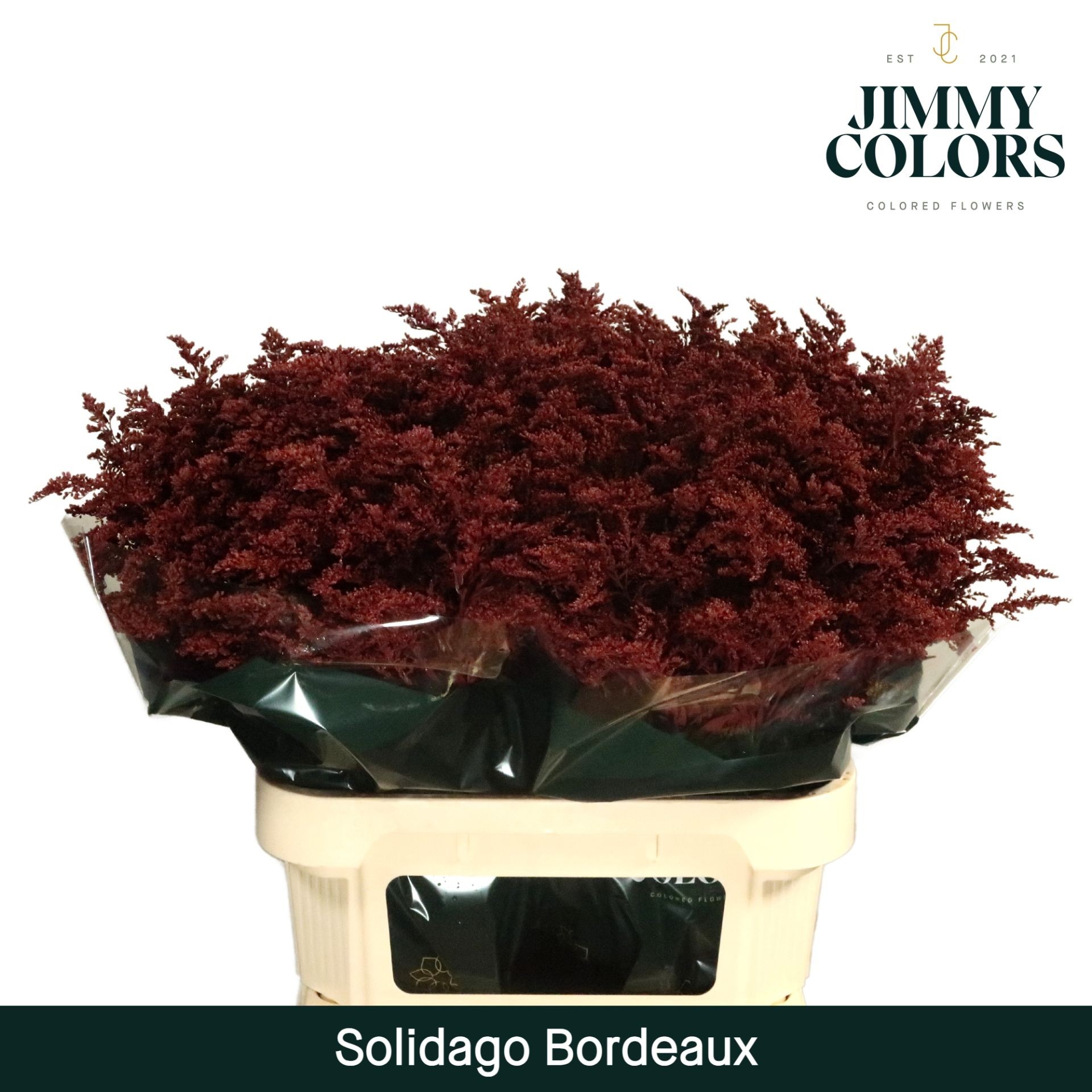 Solidago Pintado Burdeos 70cm 25gr "T25"