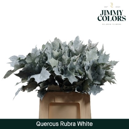 Roble Hol. Ov. Blanco 60cm
