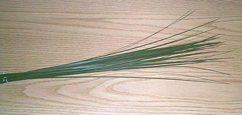 Steelgrass 120cm x25 tall (7 Dias - 2)