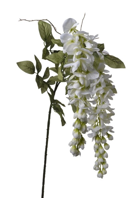Glicinia Artificial Blanca 75cm