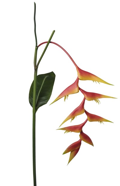 Rama Artificial Heliconia Colgante Naranja 94cm