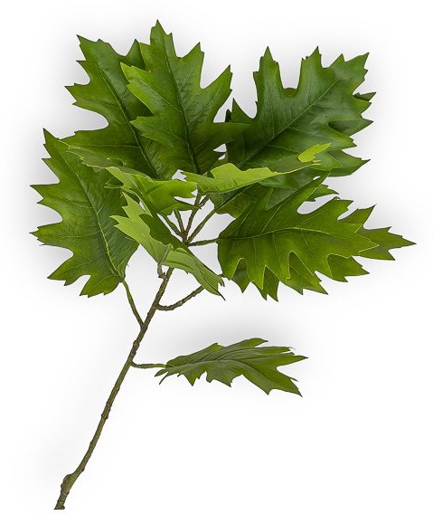 Rama Artificial Hoja Roble 70cm