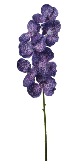Rama Artificial Orquidea Vanda 76cm