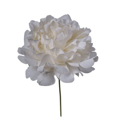 Peonia Artificial Beige "T12" 16cm