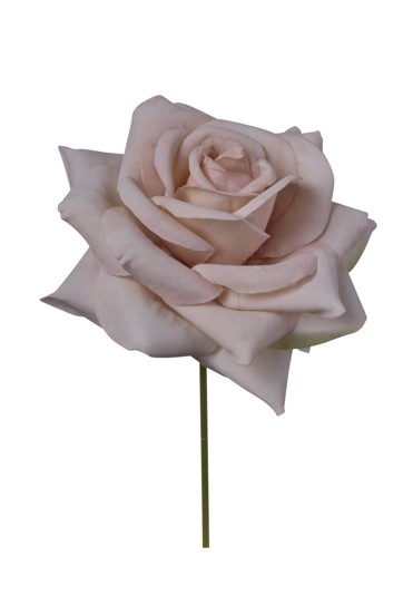 Rosa Artificial Beige "T12" 9x14cm