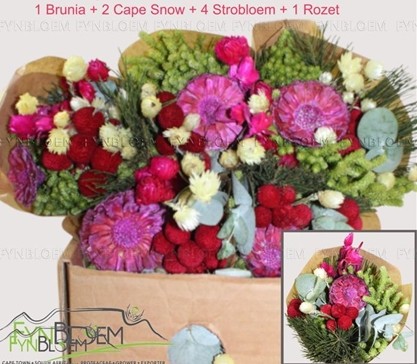 Safari Buquet 40cm 380gr