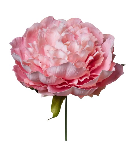 Peonia Artificial Rosa "T6" 20cm