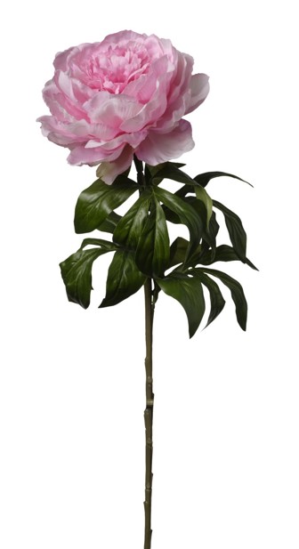 Peonia Artificial Rosa 60cm
