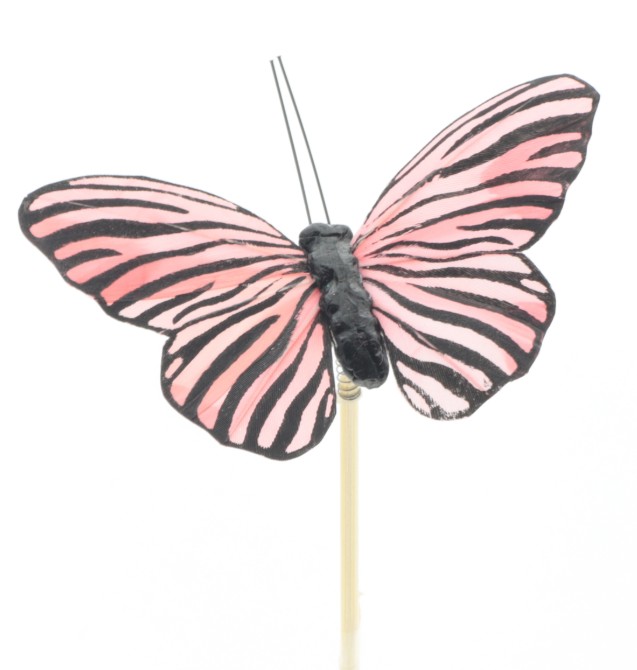 Pick Mariposa Vera Rosa "T25"