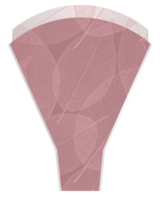Funda Bouquet Hojas Skeleton Rosa 35x50cm (x50uds)