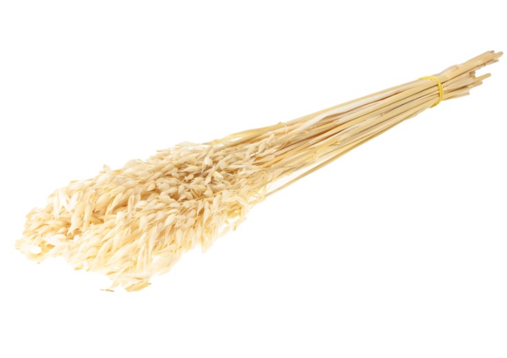 Avena Seca Crema 65cm 90g