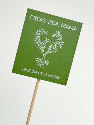 Pick Vida 50cm "T10"