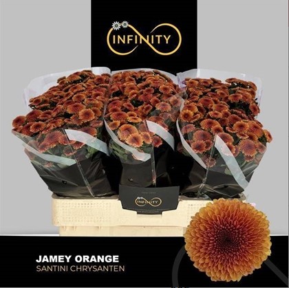 Santini Jamey Orange 950gr "T25"