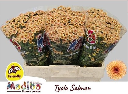 Santini Mad. Tyolo Salmon 900gr "T25"