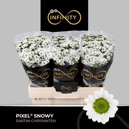 Santini Pixel Snowy 900gr "T25" Bl.